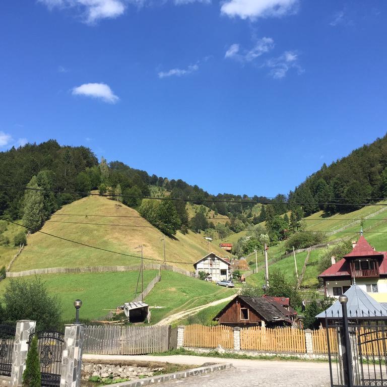 Pensiune Restaurant Piatra Craiului Дымбовичоара Экстерьер фото
