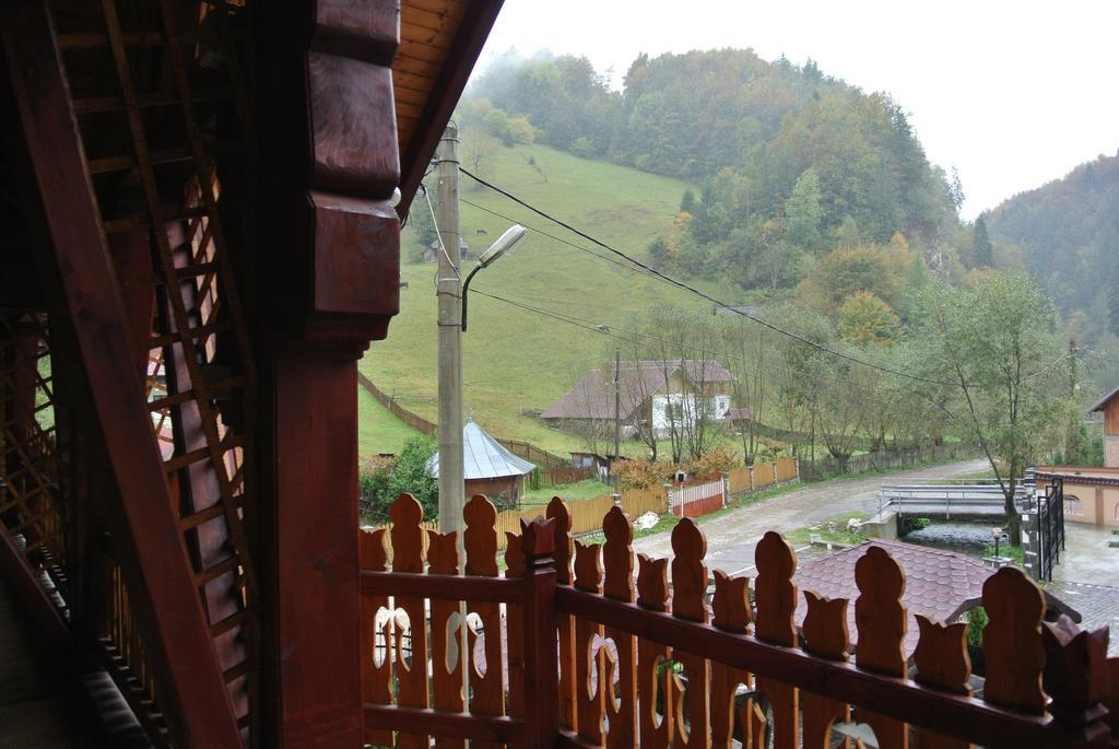 Pensiune Restaurant Piatra Craiului Дымбовичоара Экстерьер фото