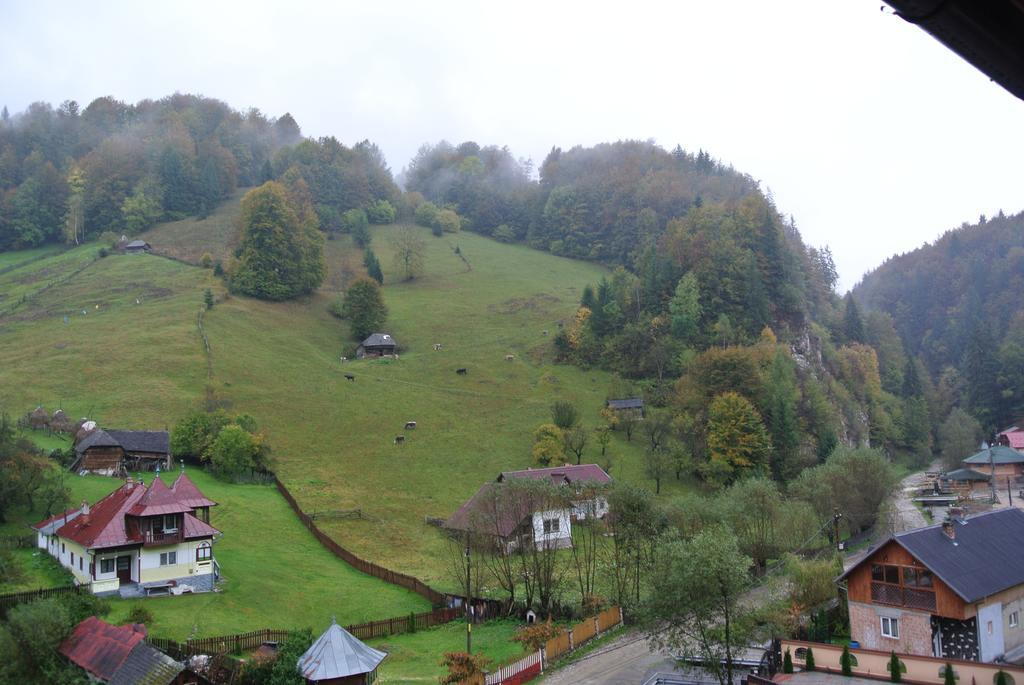 Pensiune Restaurant Piatra Craiului Дымбовичоара Экстерьер фото